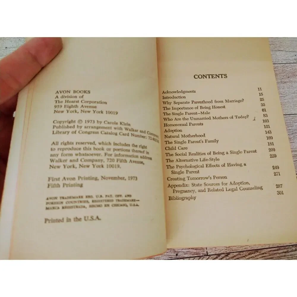 The Single Parent Experience by Carole Klein (1973, Paperback)‎